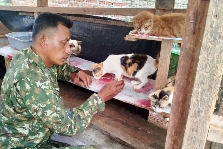 Di Balik Seragam Loreng, Ada Rumah bagi Ratusan Kucing Terlantar di Tanggamus