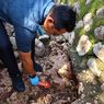 Hendak Buang Sampah di Selokan Air, Warga NTT Temukan Puluhan Amunisi