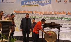 Ditjenbun Kementan Apresiasi Inovasi OPTIMAL-IPB: Pendataan Sawit Rakyat Jadi Lebih Presisi 