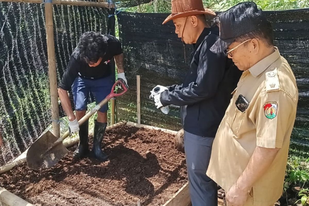 Kerjasama petani dan perguruan tinggi, petani kopi di Lembang Rinding Kila, Kecamatan Buntao, Toraja Utara, Sulawesi Selatan, melalui Program Kolaborasi Sosial Membangun Masyarakat (Kosabangsa) 2025, para akademisi dan petani bersatu menumbuhkan harapan baru bagi pertanian kopi yang ramah lingkungan dan berkelanjutan. Selasa (21/10/2025)