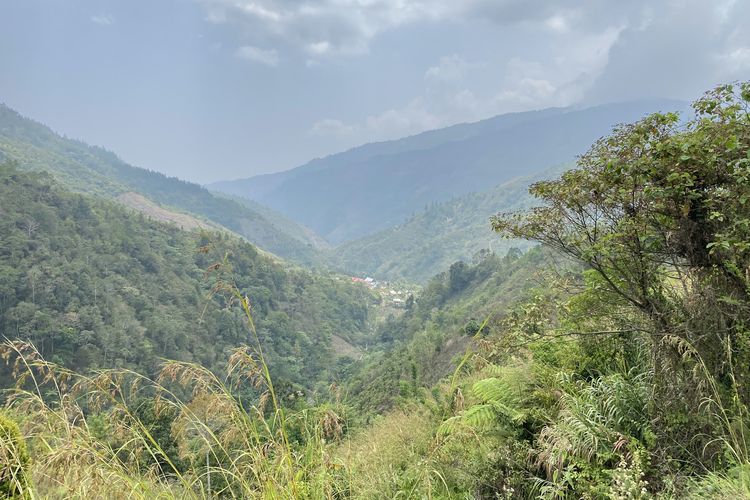 Cara Masyarakat Ngata Ona di Sulteng Menjaga Hutan, Pakai Aturan Adat