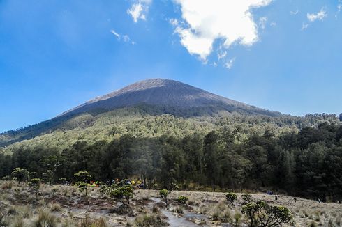 Kebakaran di Arcopodo, Pendaki Dibatasi Hanya Sampai Ranu Kumbolo