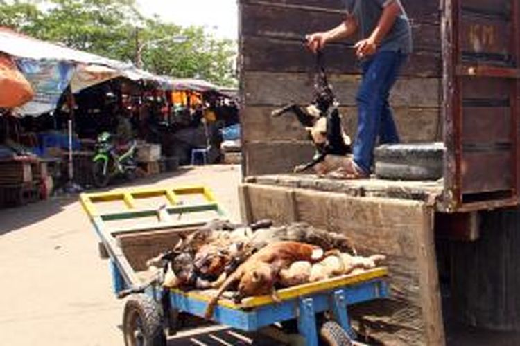 Seorang pekerja sedang menurunkan anjing mati dari sebuah mobil truck di Pasar Bersehati, Manado, Senin (14/4/2014). Anjing-anjing itu kemudian dijual untuk dikonsumsi dagingnya.