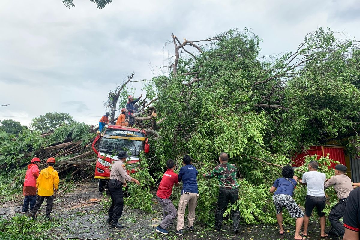 TUMBANG-Satu pohon beringin besar tumbang menimpa minibus setelah hujan disertai angin kencang melanda Kabupaten Wonogiri, Jawa Tengah, Jumat (19/1/2024) siang.