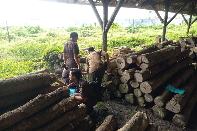 Babat Hutan Jati, Kades di Grobogan Jadi Tersangka Pembalakan Liar