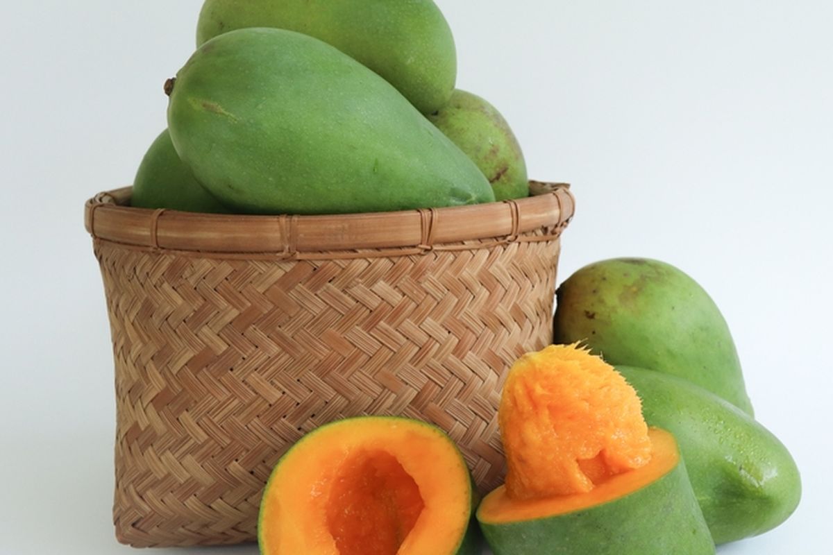 Ilustrasi buah mangga alpukat di matangkan di dalam keranjang