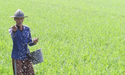 Genjot Percepatan Investasi, Kementan Luncurkan Program Inovasi