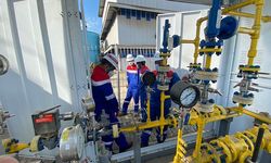 Dukung Pemanfaatan Energi Bersih, Pertagas Niaga Alirkan Gas ke Pabrik Minyak Goreng