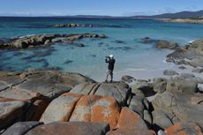 Jelajah Alam Australia, Ini Itinerari Liburan 5 Hari di Pulau Tasmania