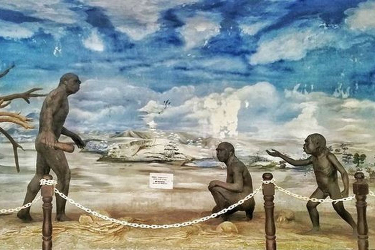 Vida video ostida sikish