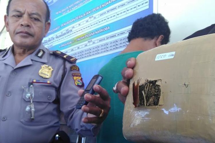 Polisi menunjukkan barang bukti ganja 1,5 Kg yang diamankan dari tangan pelaku, Senin (13/2/2017).