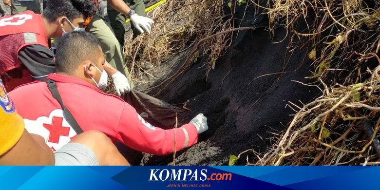 Pemancing Temukan Tengkorak Manusia Terkubur Pasir Pantai di Kulon Progo - Vimarsana News