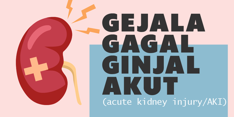 INFOGRAFIK: Kenali Gejala Gagal Ginjal Akut