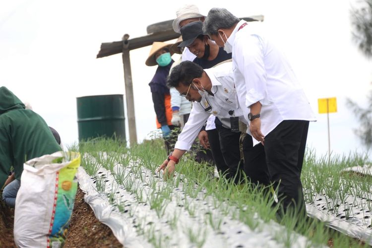 Menteri Pertanian (Mentan) Syahrul Yasin Limpo (SYL) saat meninjau bibit tanaman padi.
