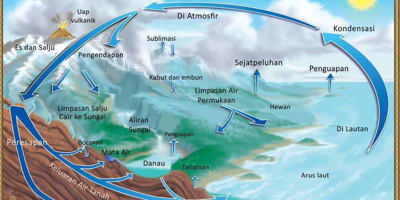 Negative Impact on Life if the Hydrological Cycle Is Disrupted