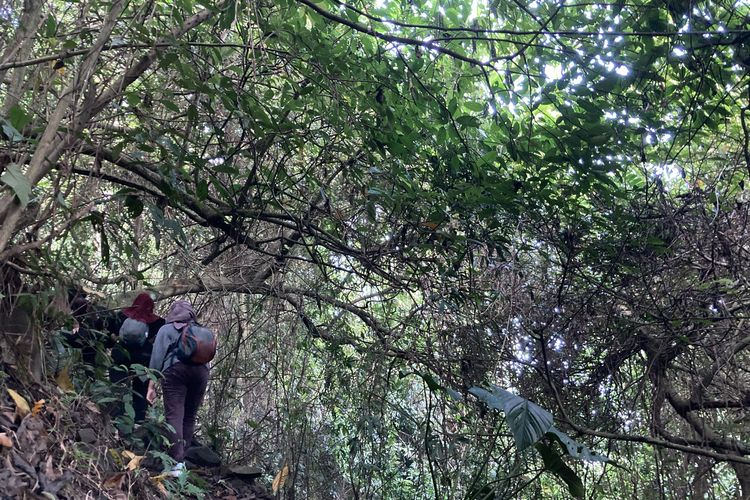 Jalur pendakian Gunung Parang via Pesanggrahan di Kabupaten Purwakarta, Jawa Barat, Minggu (13/6/2021).