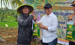 Dorong Produksi Beras, Kementan Laksanakan Tanam Padi Gogo Integrasi Kelapa di Sukabumi