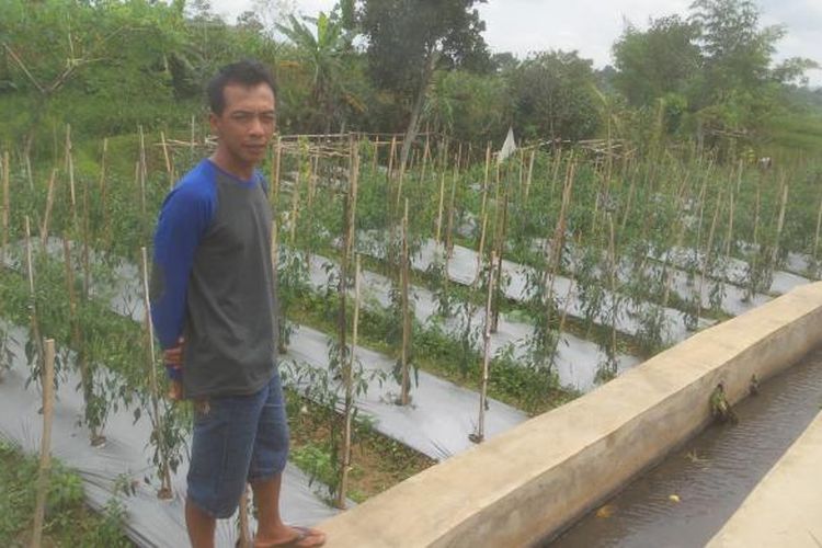 Nurul Komariah (32), saat ditemui di kebun sayur miliknya di Desa Bagusan, Parakan, Temanggung, Jawa Tengah. Nurul merupakan seorang mantan petani tembakau yang beralih ke tanaman lain akibat terus anjloknya harga jual tembakau lokal.