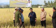 Persedian Air Melimpah, Mentan SYL Dorong Petani di Pinrang Percepat Masa Tanam