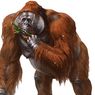 7 Fakta Gigantopithecus, Kera Terbesar yang Pernah Hidup di Bumi 