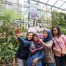 Orchid Forest Cikole in Bandung, Indonesia is a Nature Attraction Worth Visiting