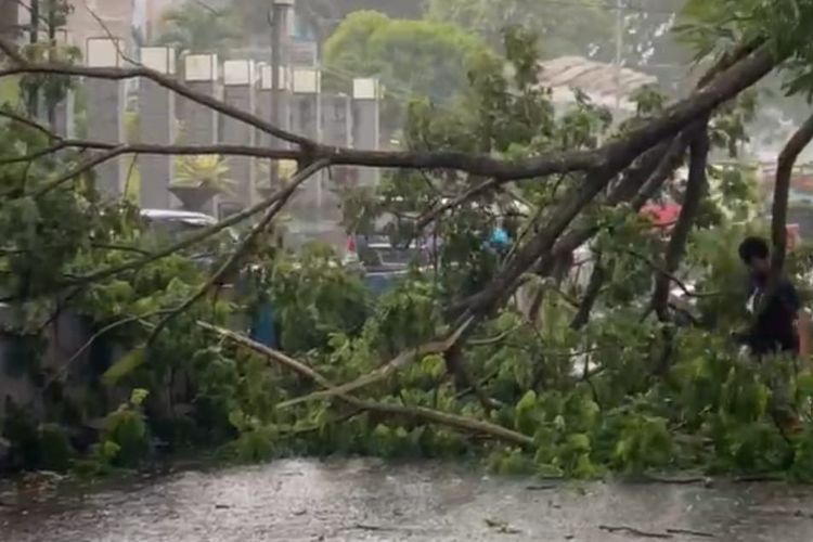 BMKG Peringatkan Cuaca Ekstrem di Seluruh Sumsel, Waspada Angin Kencang Saat Pancaroba