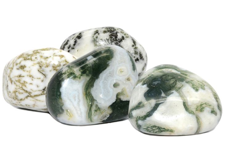 Tree agate