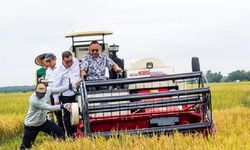 Dengan Alsintan, Kementan Harap Anak Muda Terjun ke Sektor Pertanian 