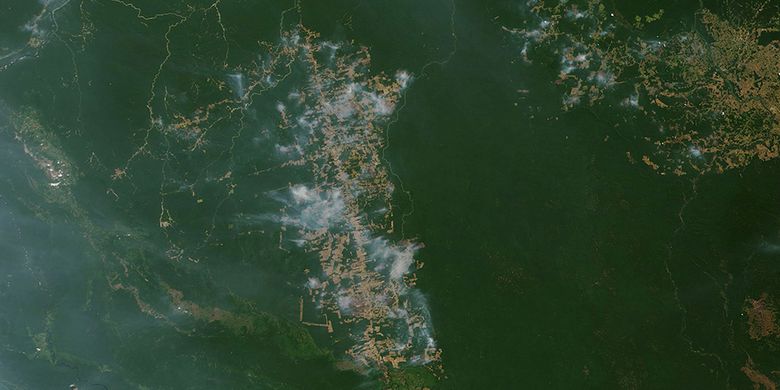 Gambar dirilis oleh NASA Earth Observatory, tangkapan Moderate Resolution Imaging Spectroradiometer (MODIS) pada satelit Terra NASA pada 19 Agustus 2019, memperlihatkan api yang membakar hutan Amazon di sekitar Novo Progresso, negara bagian Para, Brasil. Kebakaran hutan Amazon menjadi sorotan dunia setelah api yang menjalar di paru-paru dunia itu mencapai 18.627 kilometer persegi tahun ini, dengan 76.720 kebakaran terjadi dari Januari-Agustus.