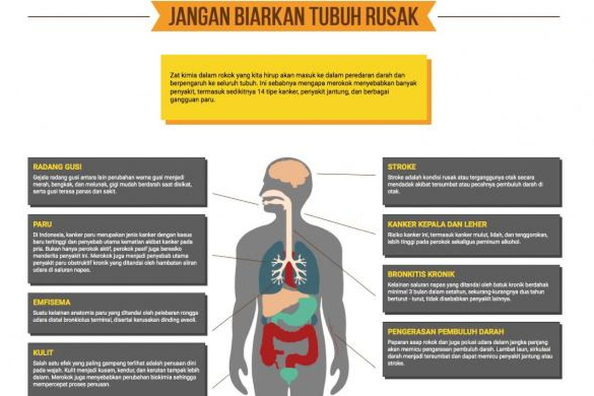 Dampak merokok, simak di VIsual Interaktif Kompas (VIK) 