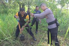 Peringati 4 Tahun Banjir Bandang di Sentani, 1.000 Bibit Pohon Ditanam di Cagar Alam Cycloop