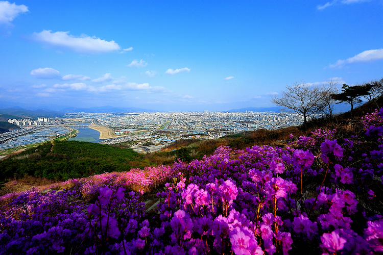 Pemandangan Kota Daegu (Dok. Korea Tourism Organization)