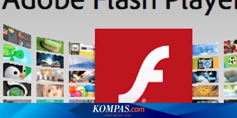 Pengguna Adobe Flash Di Dunia Kurang Dari 5 Persen