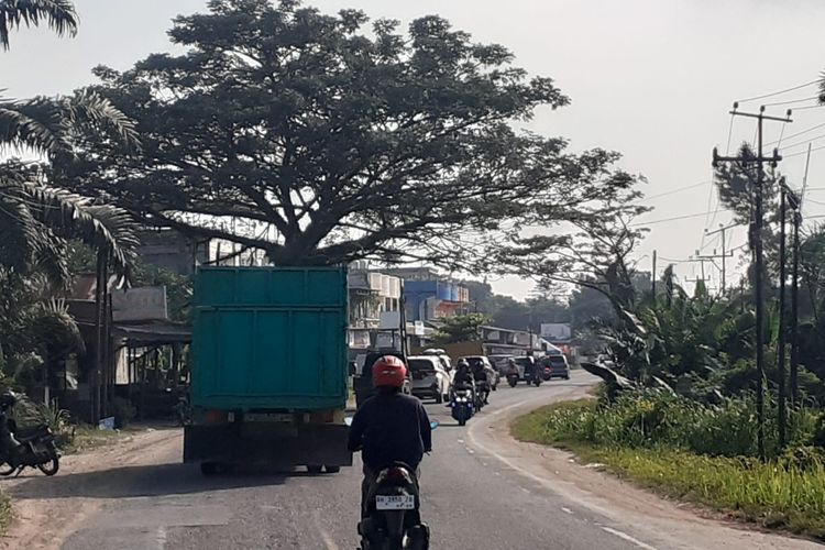 Salah satu ruas jalan nasional di Provinsi Jambi