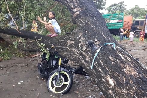 Puluhan Rumah di Parepare Rusak Diterjang Angin Kencang, 3 Kendaraan Tertimpa Pohon