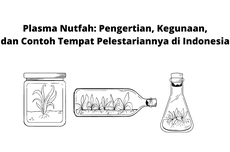 Plasma Nutfah: Pengertian, Kegunaan, dan Contoh Tempat Pelestariannya di Indonesia