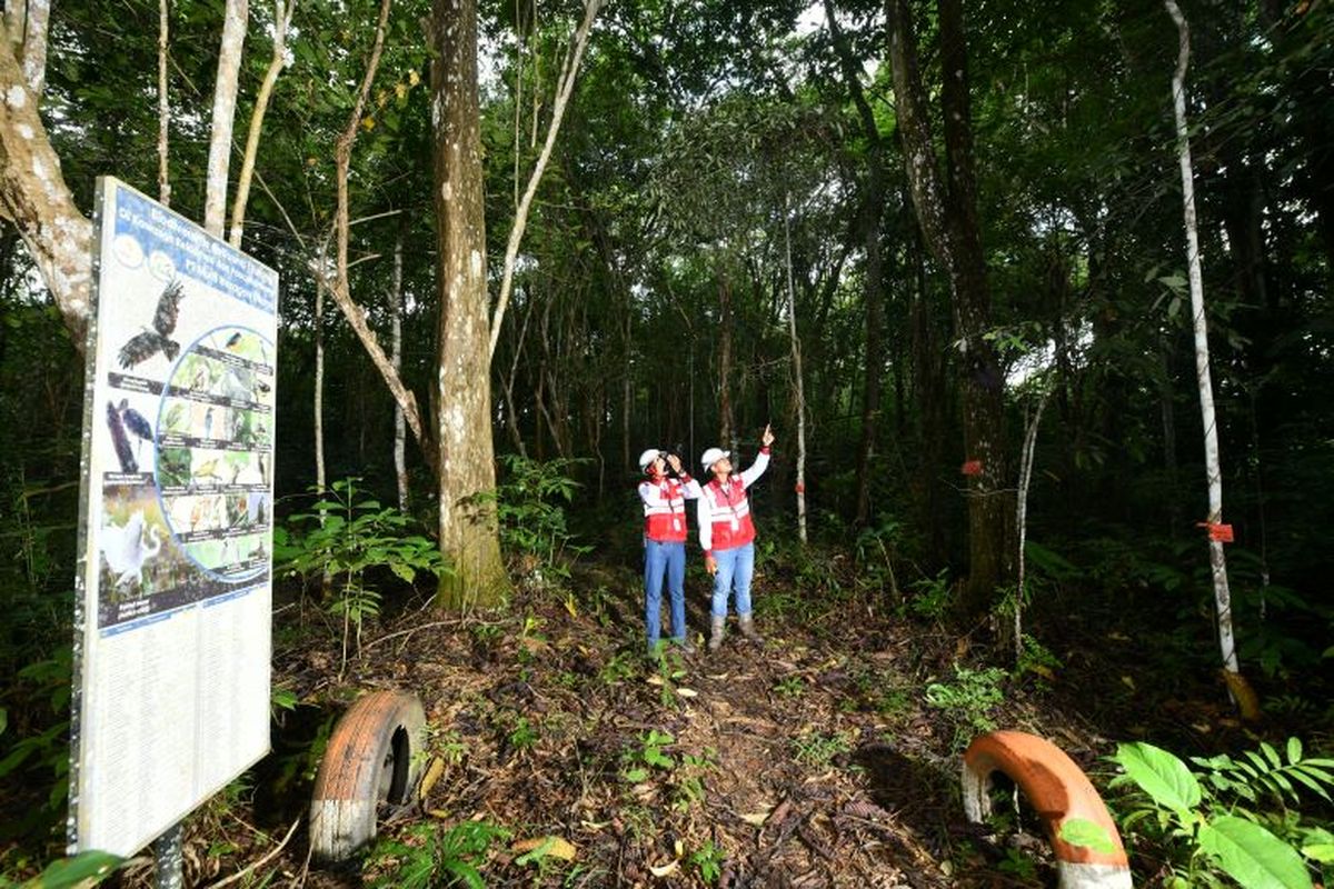 Reforestasi yang dilakukan PT MHU sebagai wujud tanggung jawab terhadap lahan pascatambang. 