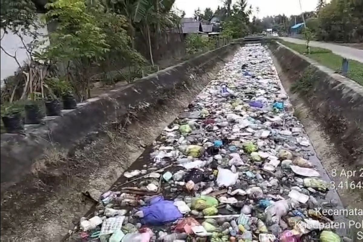 Muara Sungai Penuh Sampah dan Bangkai, Warga Polewali Mandar Resah
