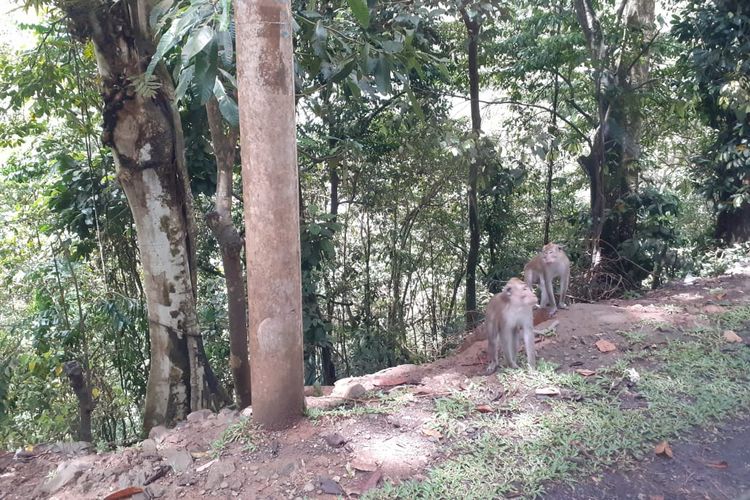 Mengemudi merupakan tindakan yang berisiko karena membutuhkan konsentrasi tinggi.