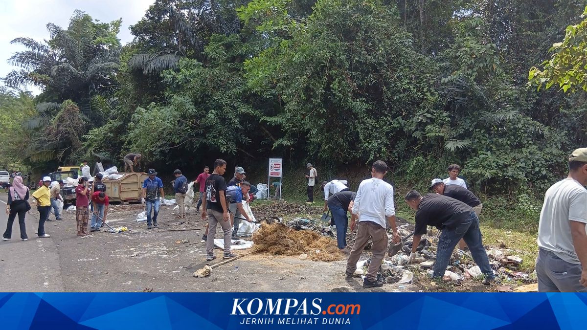 6 Ton Sampah Dipungut dari Hutan Penyangga Labuan Bajo, Begini Kondisinya