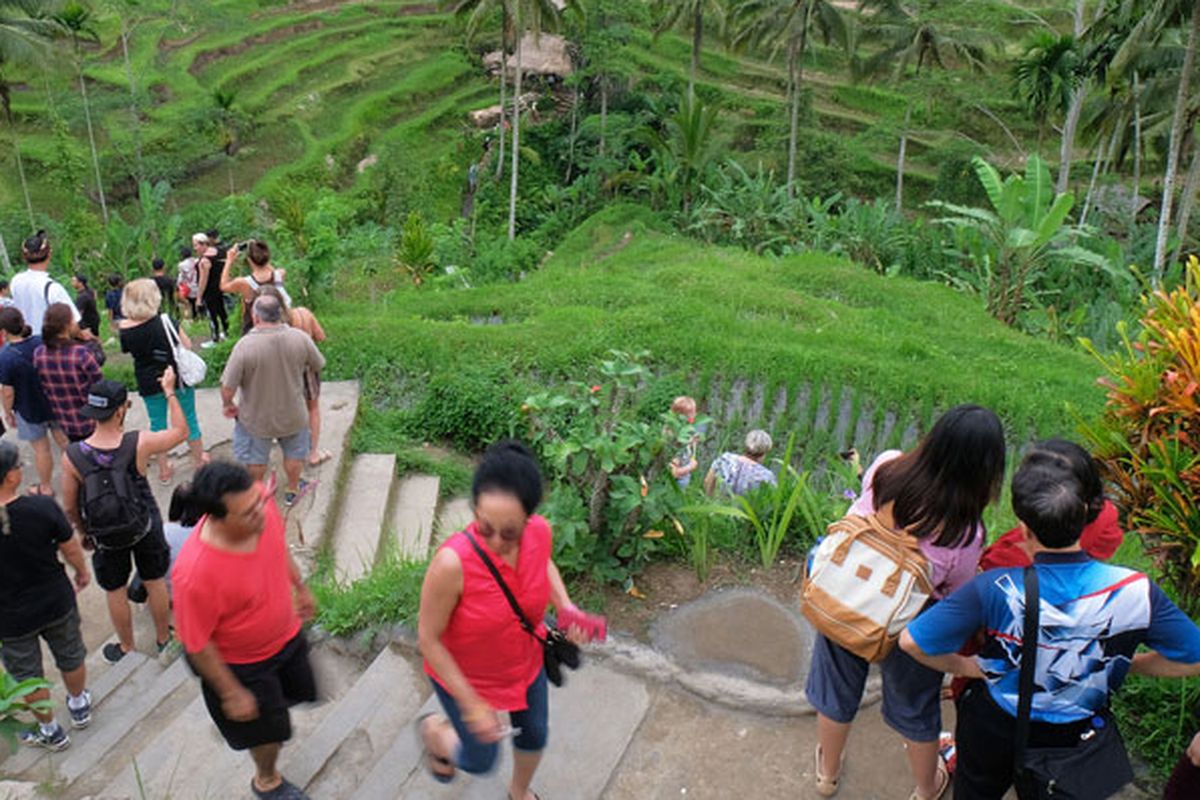 Wisatawan mancanegara menikmati keindahan terasering sawah di obyek wisata Ceking Terrace, Gianyar, Bali, Jumat (28/12/2018). Obyek wisata di Bali kini padat pengunjung karena liburan panjang Hari Natal, Hari Galungan dan Kuningan serta tahun baru, sehingga ditargetkan memberi dampak positif setelah sempat anjlok tahun lalu akibat erupsi Gunung Agung.  