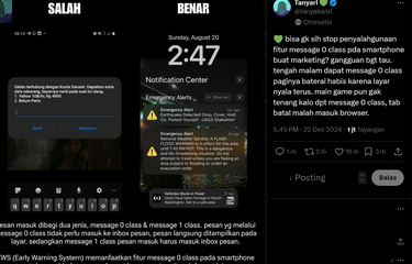 Tangkap layar SMS pop-up yang mengganggu pengguna ponsel