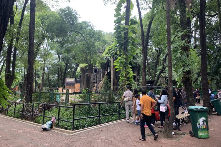 Suasana Taman Margasatwa Ragunan, Jakarta Selatan pada Rabu (22/10/2025).