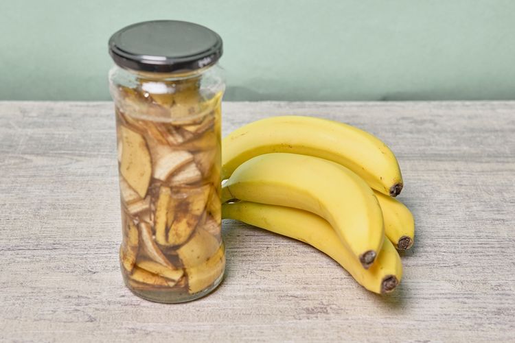 Ilustrasi pupuk alami dari kulit pisang. 