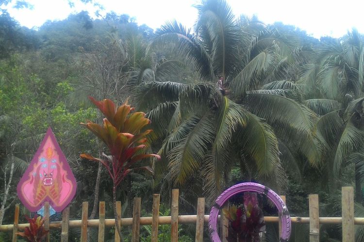 Penyadap nira kelapa aktif mengambil nira dari pohon kelapa di Kulon Progo, Daerah Istimewa Yogyakarta. Sehari bisa dua kali memanjat puluhan pohon. Produksi gula kelapa meningkat seiring Lebaran.