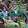 Cerita Para Perempuan Penjaga Hutan Lindung di Aceh, Bertemu Pembalak Liar hingga Pasang Tapal Batas