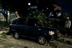 26 Pohon Tumbang Saat Angin Kencang Melanda Jakarta Selasa Malam