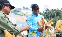 Fokus Kembangkan Pertanian, Bupati Bulungan: Saya Tampung Semua Masukan dan Keinginan Petani
