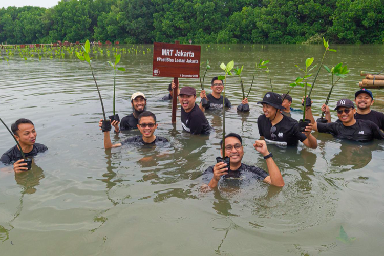 PT MRT Jakarta (Perseroda) mendukung upaya rehabilitasi kawasan pesisir utara Jakarta dengan menanam sekitar 2.000 bibit mangrove jenis bakau (rhizopora sp).
