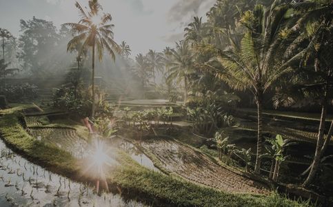Bali Named Among World's 15 Best Islands for Retirement on Travel Awaits' 2021